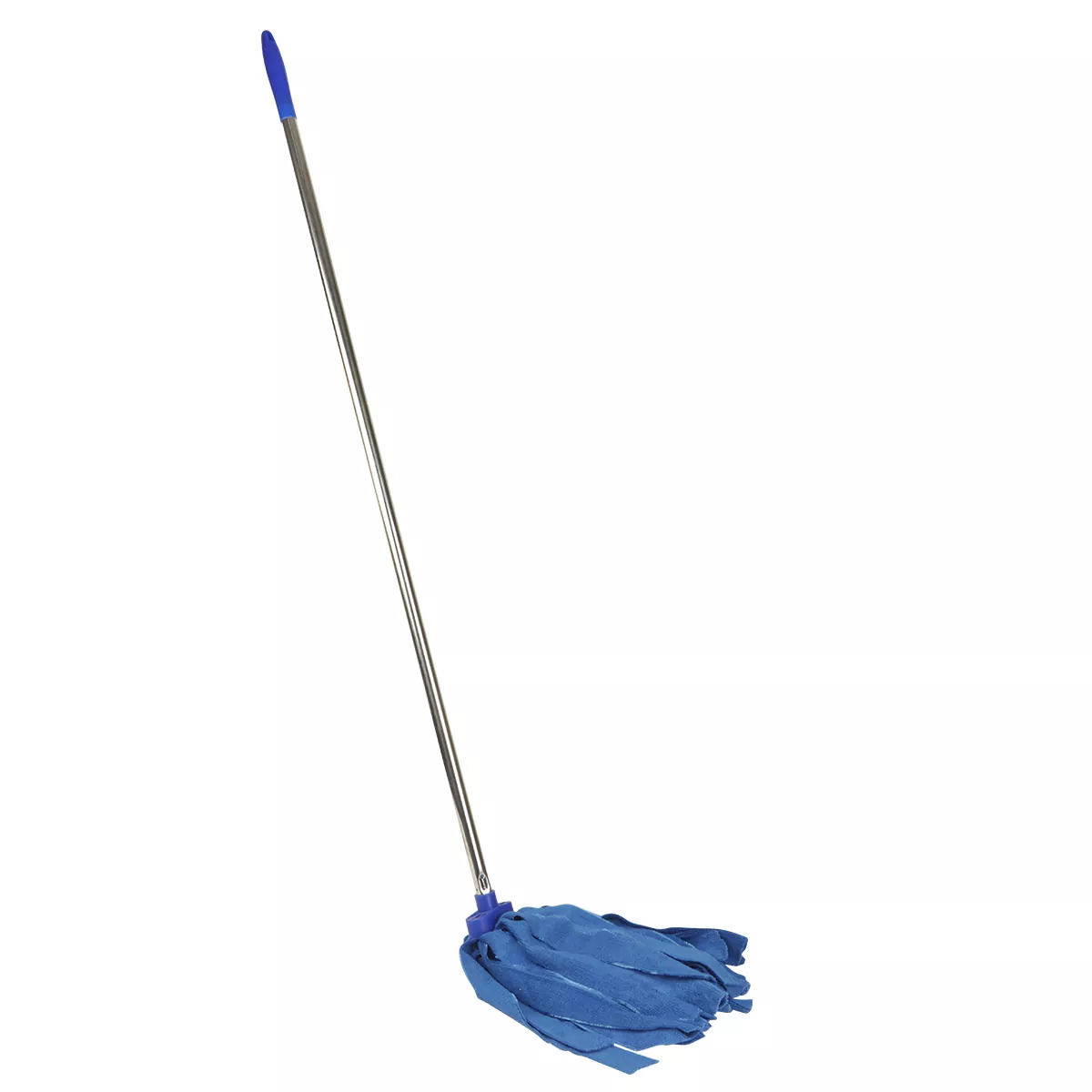 Wet Dry Microfiber Mop